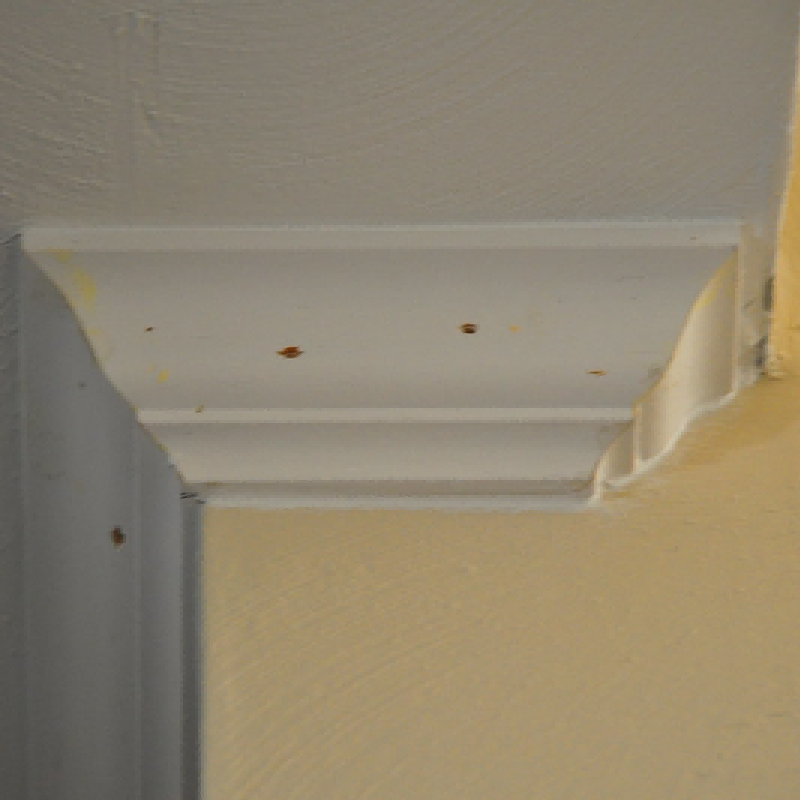 foam crown molding