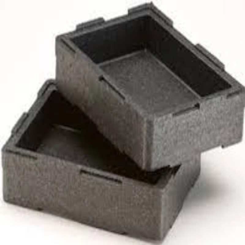 Expandable Polypropylene