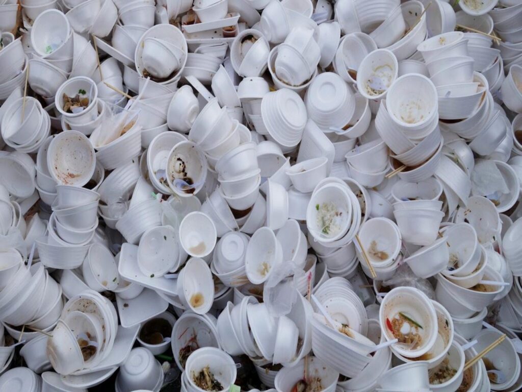 Food Styrofoam recyclable